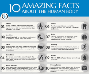 10 Amazing Facts About the Human Body | OSG