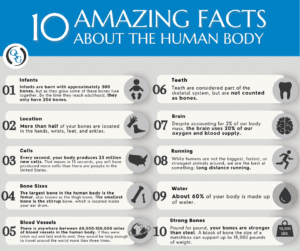 10 Amazing Facts About the Human Body | OSG 10 Amazing Facts About the Human Body | OSG