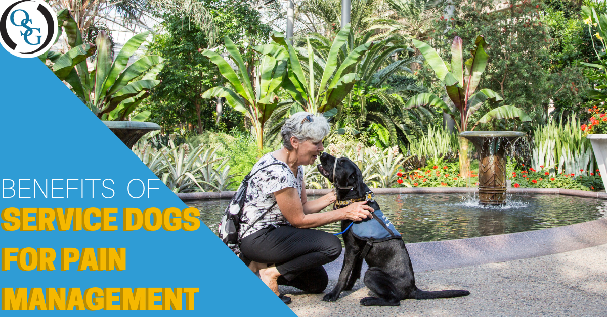 Benefits of a Service Dog for Pain Management | Fairfield Orthopedics